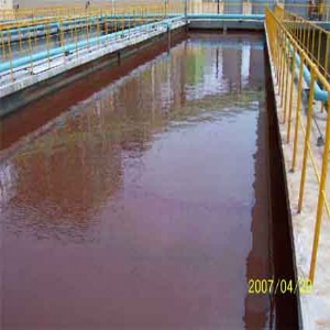 工業(yè)廢水池的防腐