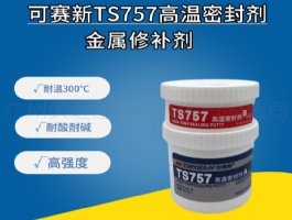 TS757 高溫密封劑